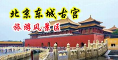 17艹.中国北京-东城古宫旅游风景区